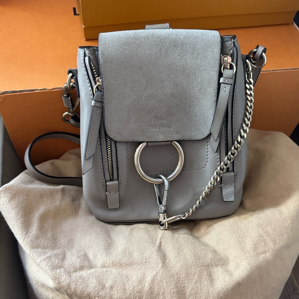 Chloe Faye Mini Backpack